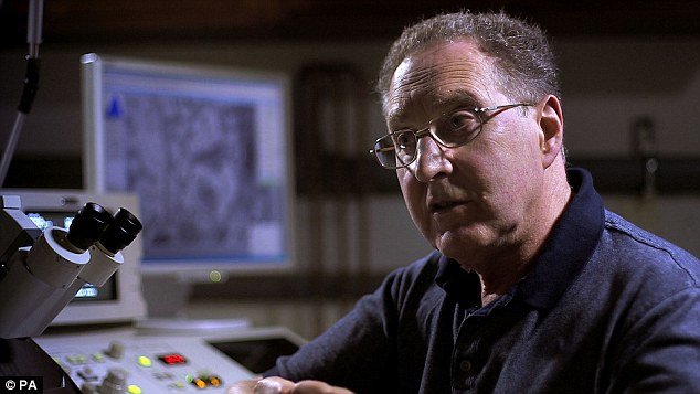 پروفسور رایسمن