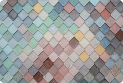 Rectangle 25 (1).jpg