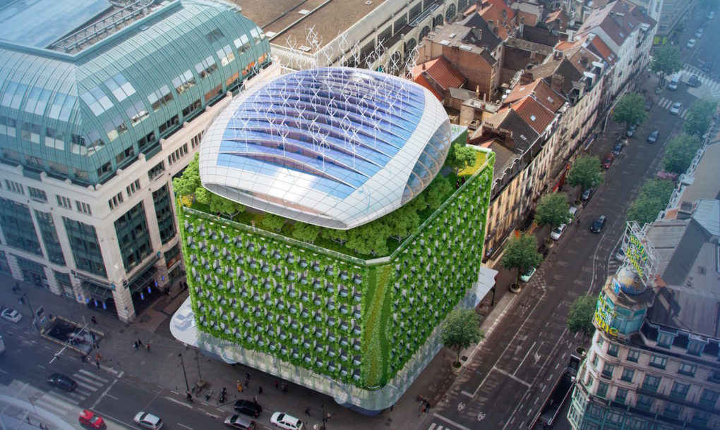 گالری عکس: مبارزه با آلودگی هوا به سبک طبیعت