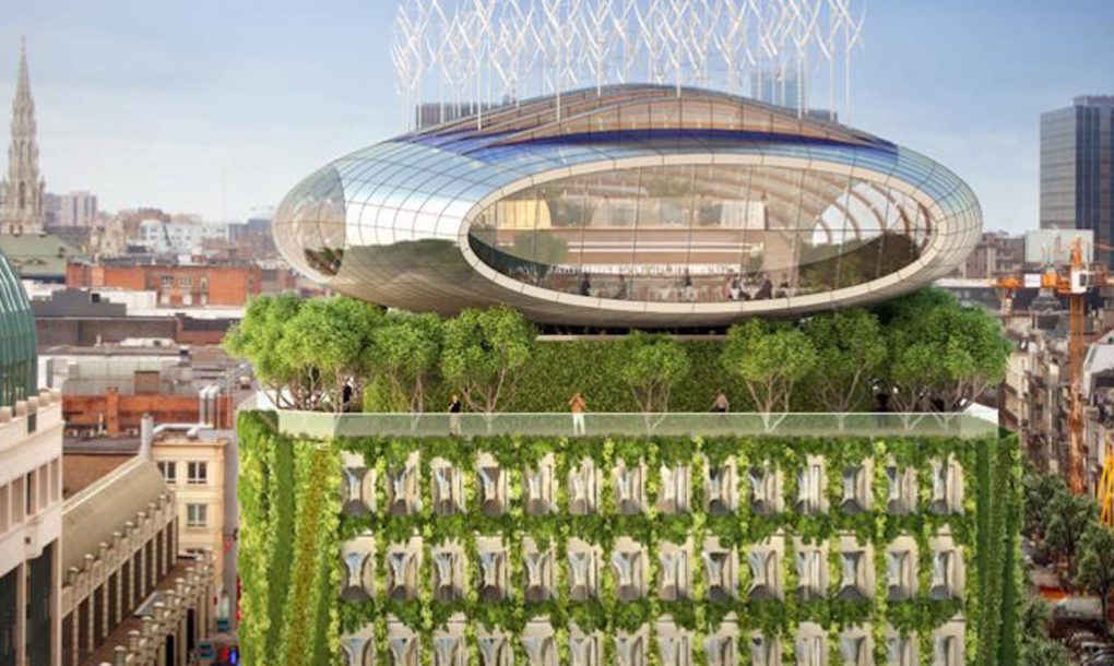 گالری عکس: مبارزه با آلودگی هوا به سبک طبیعت