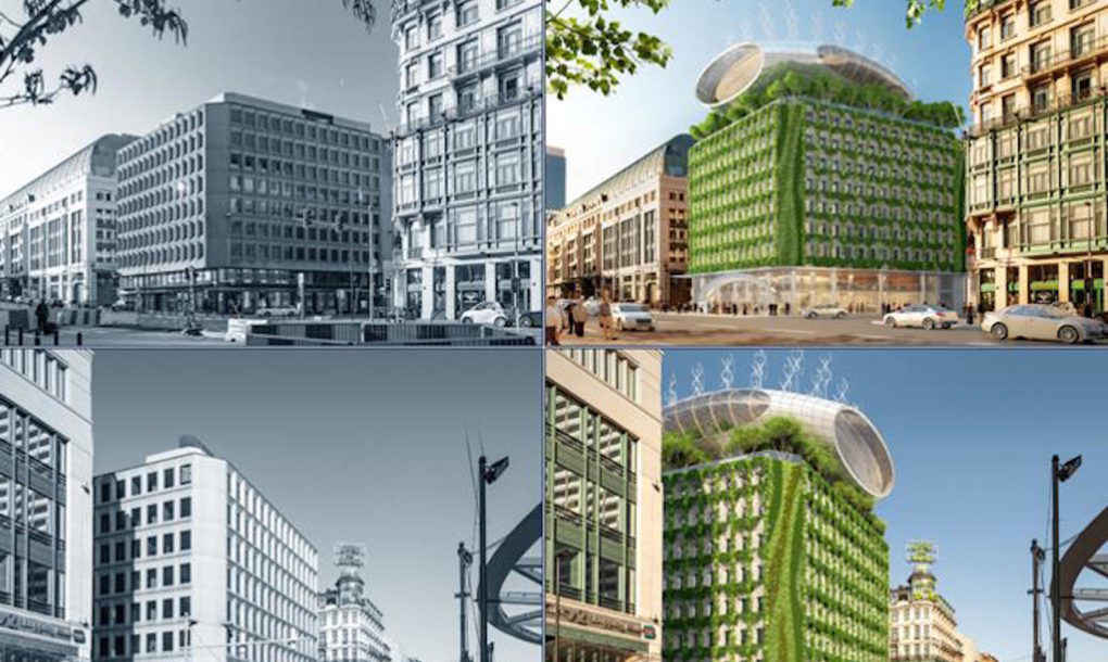 گالری عکس: مبارزه با آلودگی هوا به سبک طبیعت