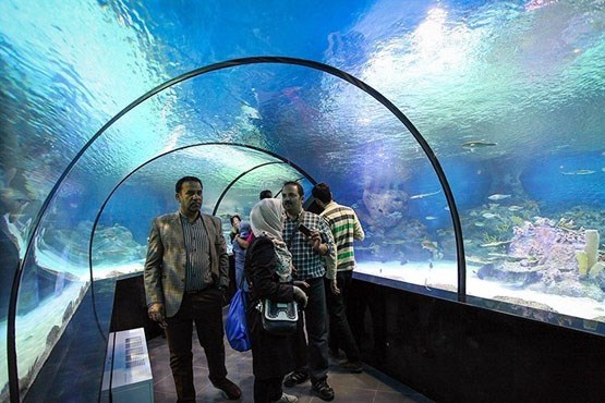 آکواریم ۶ کیلومتری زیرزمینی در اصفهان + عکس