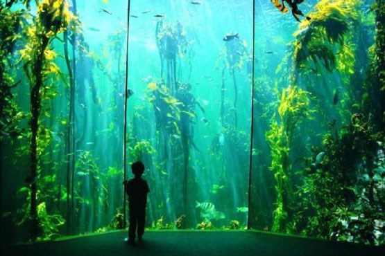 آکواریم ۶ کیلومتری زیرزمینی در اصفهان + عکس