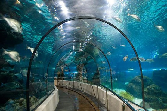 آکواریم ۶ کیلومتری زیرزمینی در اصفهان + عکس