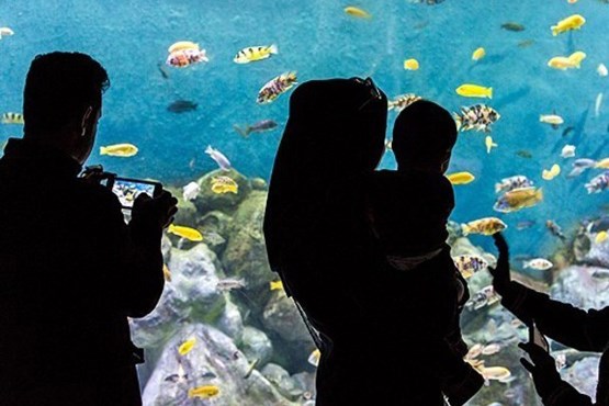 آکواریم ۶ کیلومتری زیرزمینی در اصفهان + عکس