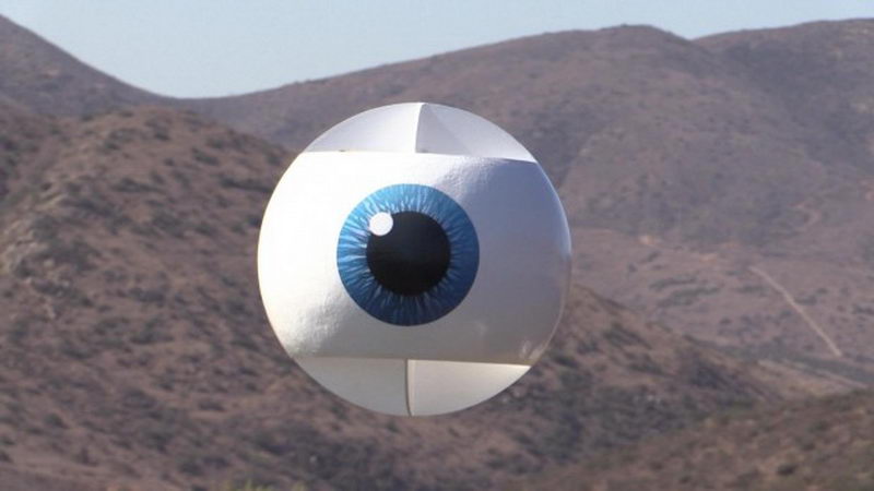 ویدیو: یک چشم بزرگ پرنده 