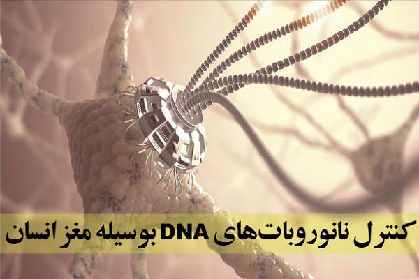 کنترل نانو روبات‌‌های DNA به وسیله مغز انسان