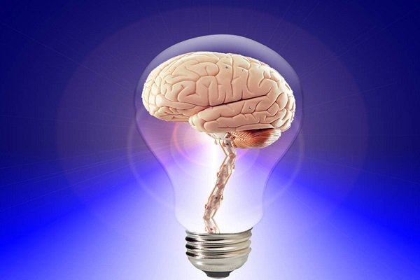 چگونه انسان‌ها از صد درصد توانایی مغز خود استفاده می‌کنند