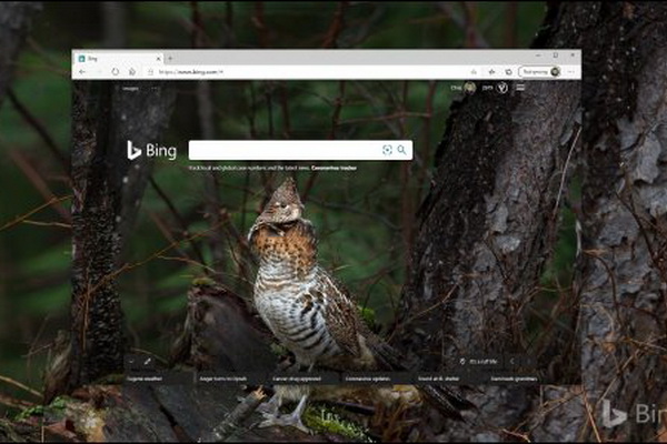 چگونه عکسهای روزانه Bing را به عنوان والپیپر ویندوز 10 انتخاب کنیم