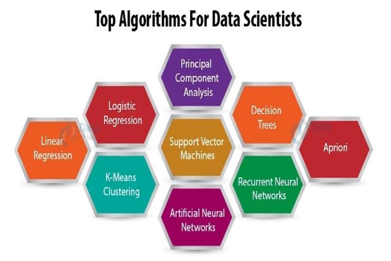 11 الگوریتم پرکاربرد مورد استفاده توسط دانشمندان داده
