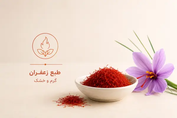 طبع زعفران سرد است یا گرم؟ مصلح زعفران در طب سنتی
