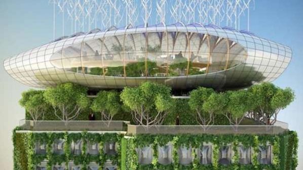 گالری عکس: مبارزه با آلودگی هوا به سبک طبیعت