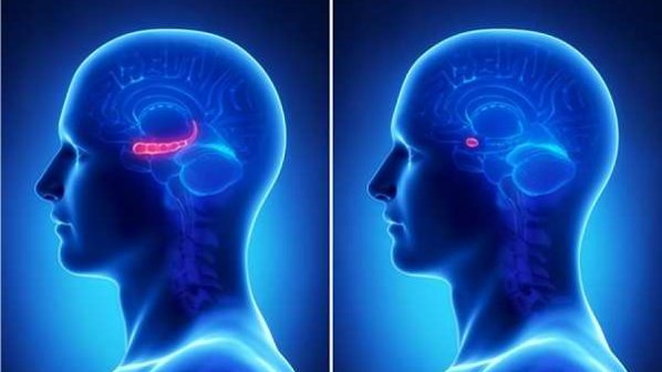 افراد افسرده توانایی زیادی در یادآوری وقایع منفی دارند