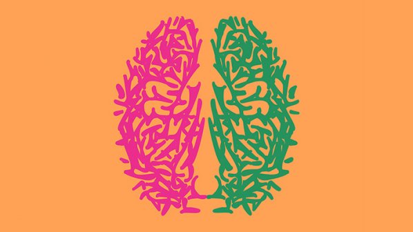 چگونه مغز خود را دوباره فرمتبندی کنیم؟