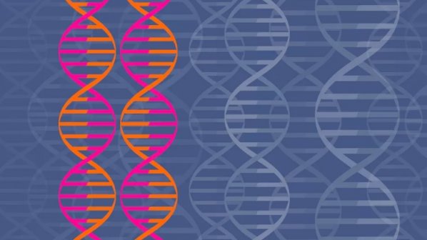 دستکاری ژنتیکی جنین برای جلوگیری از تولد نوزادان معلول و مبتلا به بیماریهای خاص