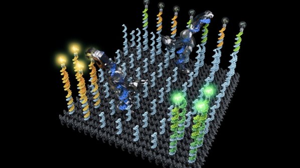 اولین نانوروبات DNA برای جابجایی مولکول‌های بدن ساخته شد