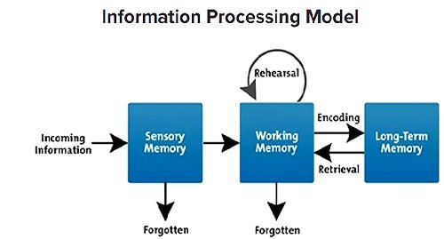  افزایش ظرفیت حافظه کاری کلید حل مشکلات