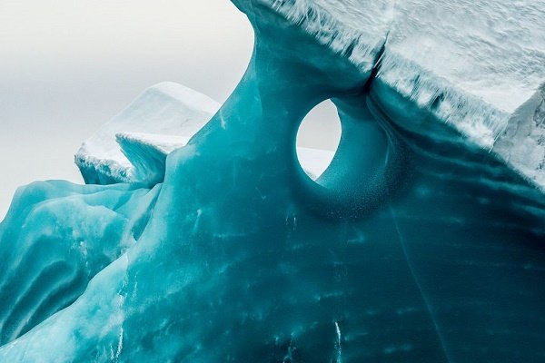 جلبک‌های موجود در آب دریا با هنرمندی کوه‌های یخی را به شکل فیروزه‌ای درآوردند