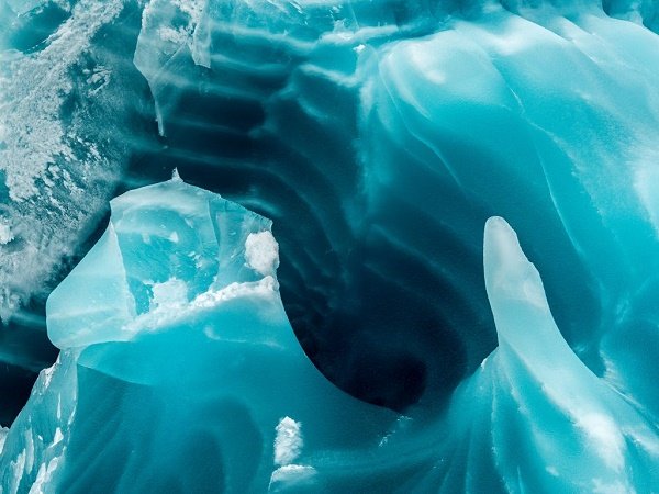 جلبک‌های موجود در آب دریا با هنرمندی کوه‌های یخی را به شکل فیروزه‌ای درآوردند