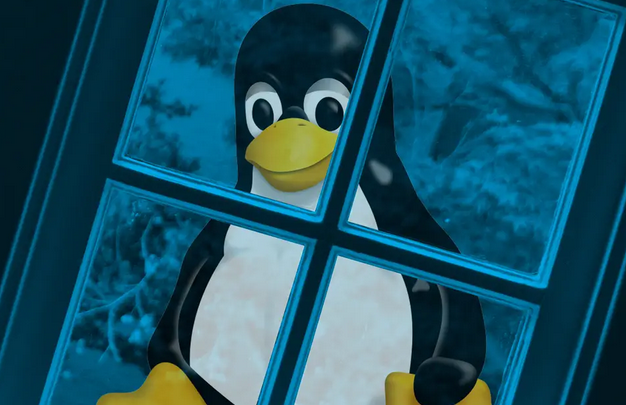 linux_0.PNG