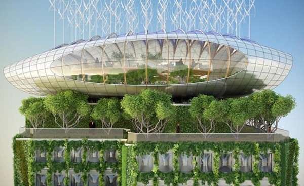 گالری عکس: مبارزه با آلودگی هوا به سبک طبیعت