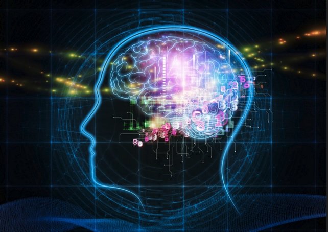 مغز انسان آنالوگ است یا دیجیتال؟