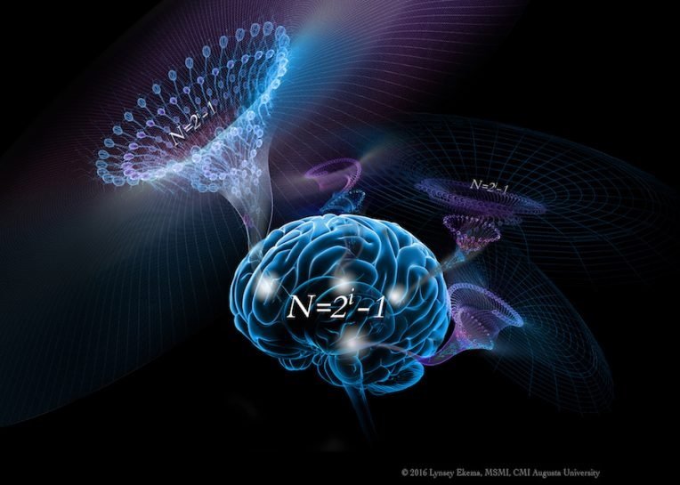 دانشمندان الگوریتم هوشمندی مغز انسان را کشف کردند!
