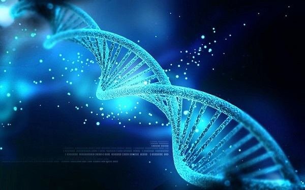 ۲۱۵ پتابایت اطلاعات روی یک گرم DNA ذخیره شد!