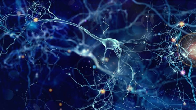 دانشمندان: خاطرات تلخ را از مغز خود پاک کنید
