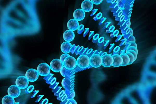 اولین سرویس ذخیره‌سازی تجاری داده‌ها روی DNA در سال 2019 راه‌اندازی می‌شود