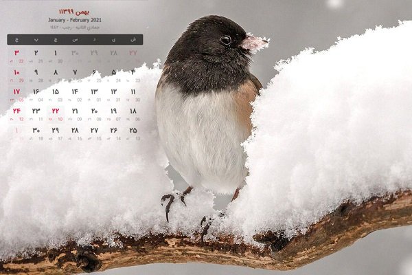 تقویم و تعطیلات بهمن 99