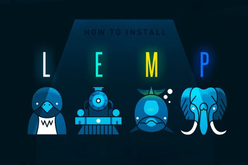 چگونه LEMP را روی سیستم‌عامل‌های لینوکسی نصب کنیم؟