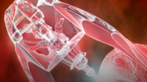 نانوروبات‌های هدایت‌کننده دارو در بدن انسان ساخته شدند!