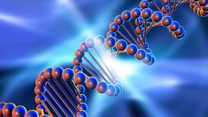 کامپیوترهای مبتنی بر DNA ساخته می‌شوند