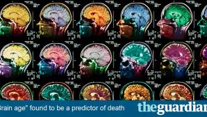 سن مغز می‌تواند زمان مرگ انسان را بگوید