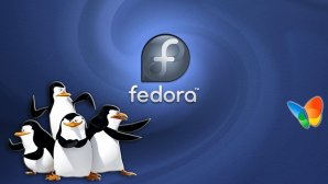 سیستم‌عامل لینوکس فدورا 26 رسما منتشر شد + لینک دانلود