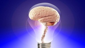 چگونه انسان‌ها از صد درصد توانایی مغز خود استفاده می‌کنند