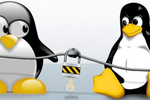 چگونه سرور لینوکس امن‎تری داشته باشیم؟