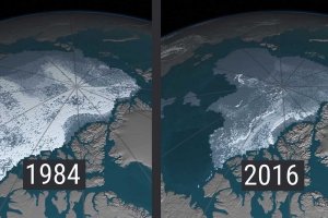 تماشا کنید: چگونه پوشش یخی قطب شمال ناپدید می‌شود