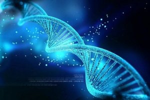 ۲۱۵ پتابایت اطلاعات روی یک گرم DNA ذخیره شد!