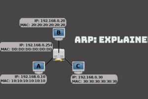 هر آنچه که باید در مورد پروتکل تفکیک آدرس یا ARP بدانید