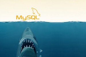 10 ابزار ضروری برای مدیران سرورهای MySQL