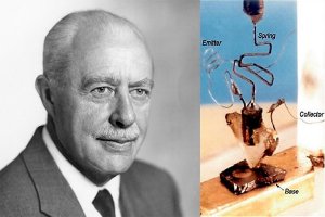 داستان سه مخترع ترانزیستور – قسمت دوم: والتر براتین