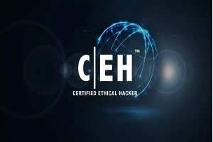 آموزش CEH (هکر کلاه سفید): فیشینگ و مهندسی اجتماعی چگونه کاربران را قربانی می‌کنند